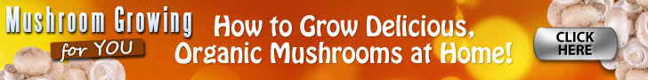 Grow Your Own Mushrooms