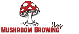 MushroomGrowingBlog.com